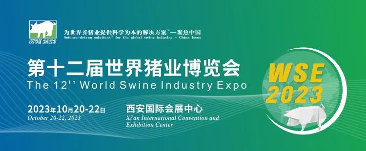 1695197172441684.jpg 1.jpg